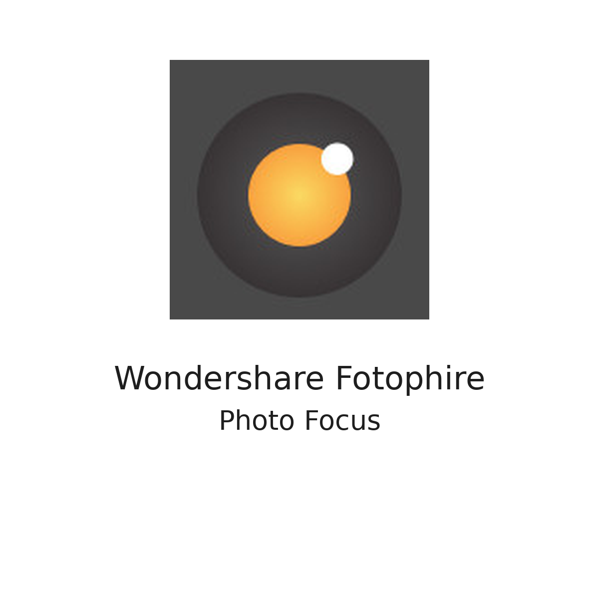 Wondershare Fotophire Photo Focus
