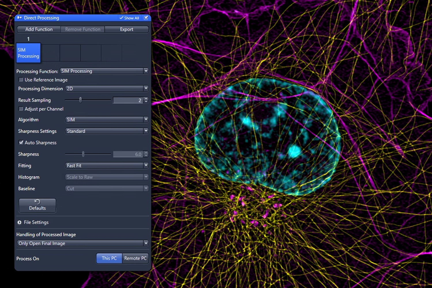 Direct Processing в ZEISS ZEN для автоматической обработки
