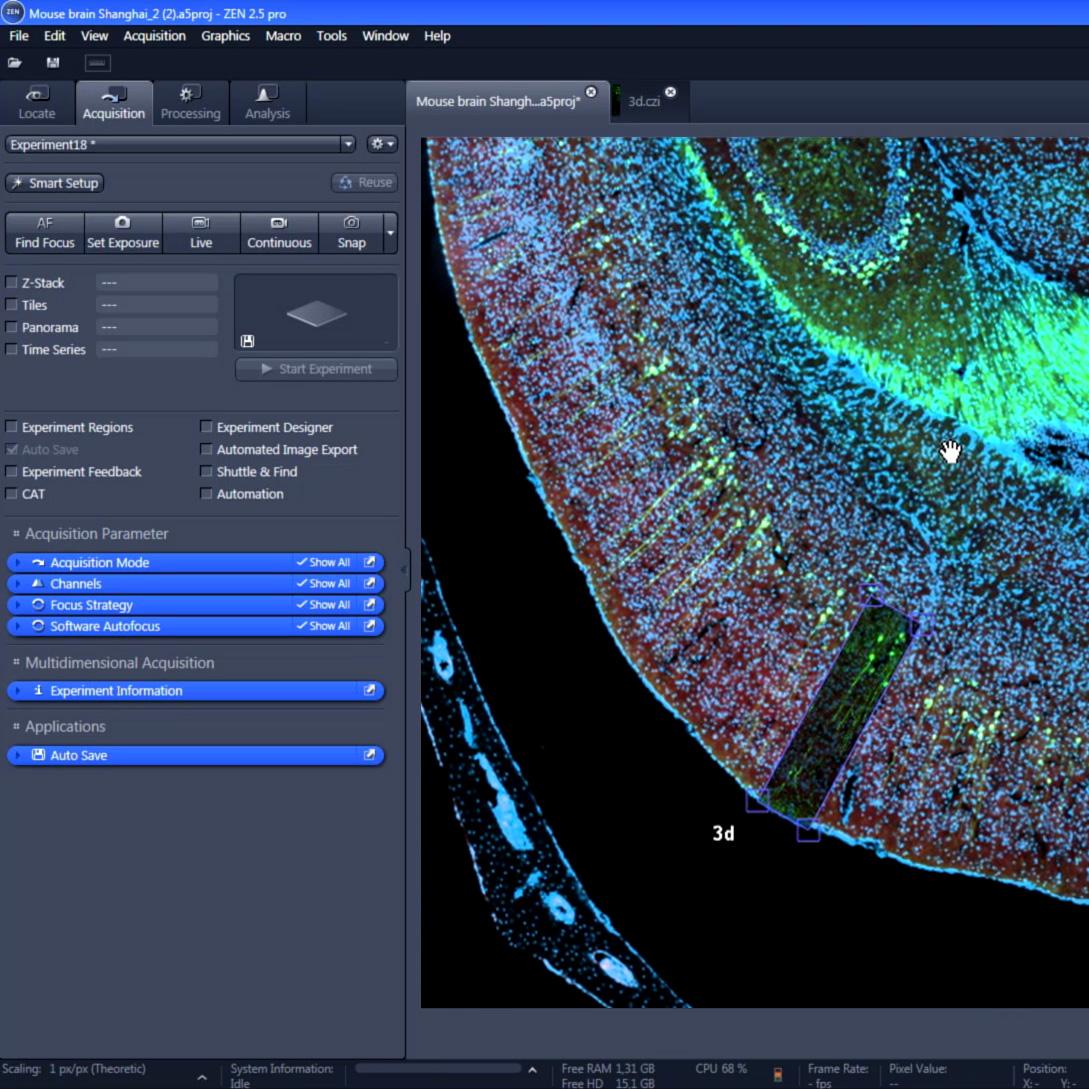 Настройка получения микроскопических данных в ZEISS ZEN