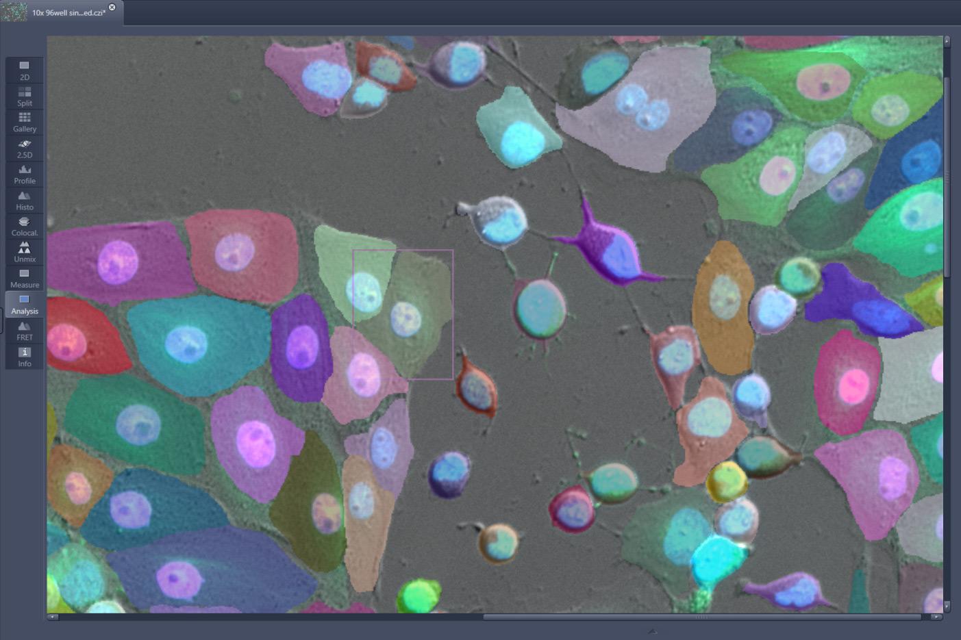 Instance Segmentation в ZEISS ZEN