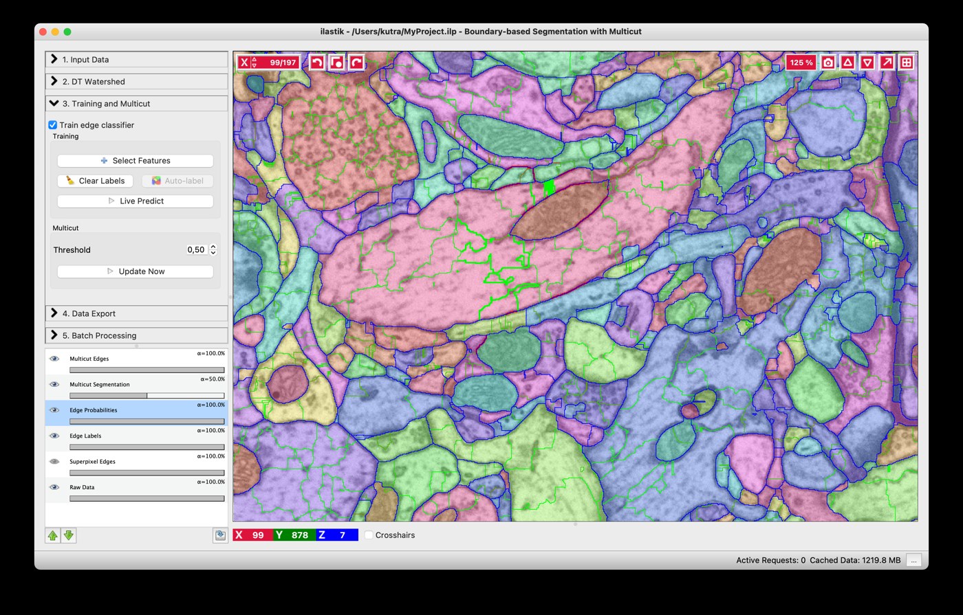 Результат Boundary-based Segmentation with Multicut в ilastik