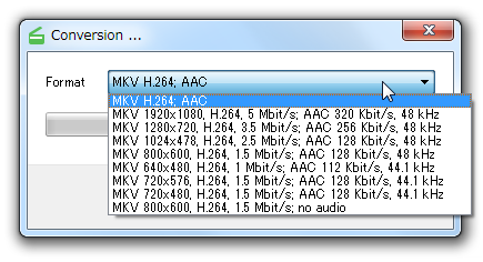 Окно Conversion в Free Video Dub