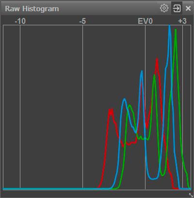 FastRawViewer — Raw Histogram