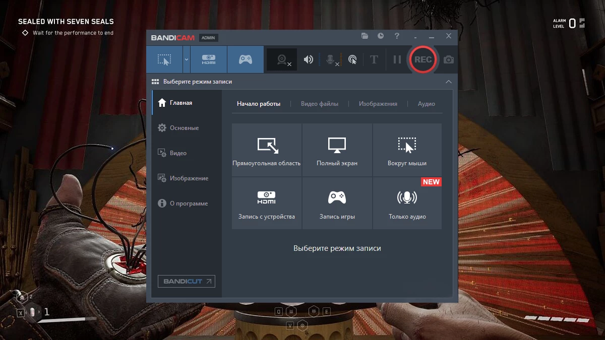 Окно Bandicam
