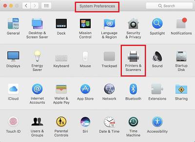 Скриншот сканирования на macOS