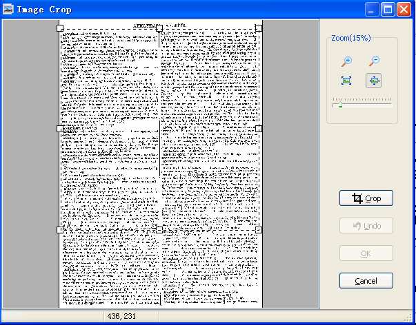 Окно Image Crop в A-PDF Scan Paper для удаления полей и чёрных краёв скана