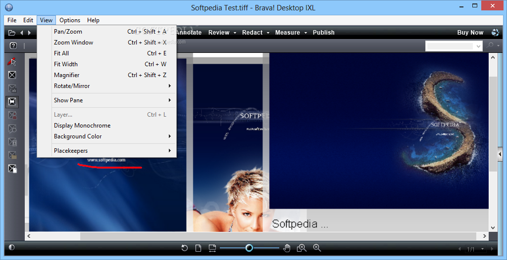 Меню просмотра и рабочая область Brava Desktop