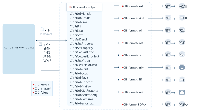 Схема входных данных и форматов вывода CIB format