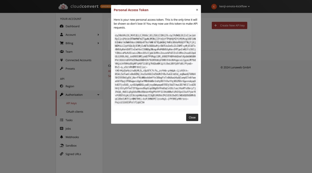 Диалог с выданным токеном CloudConvert