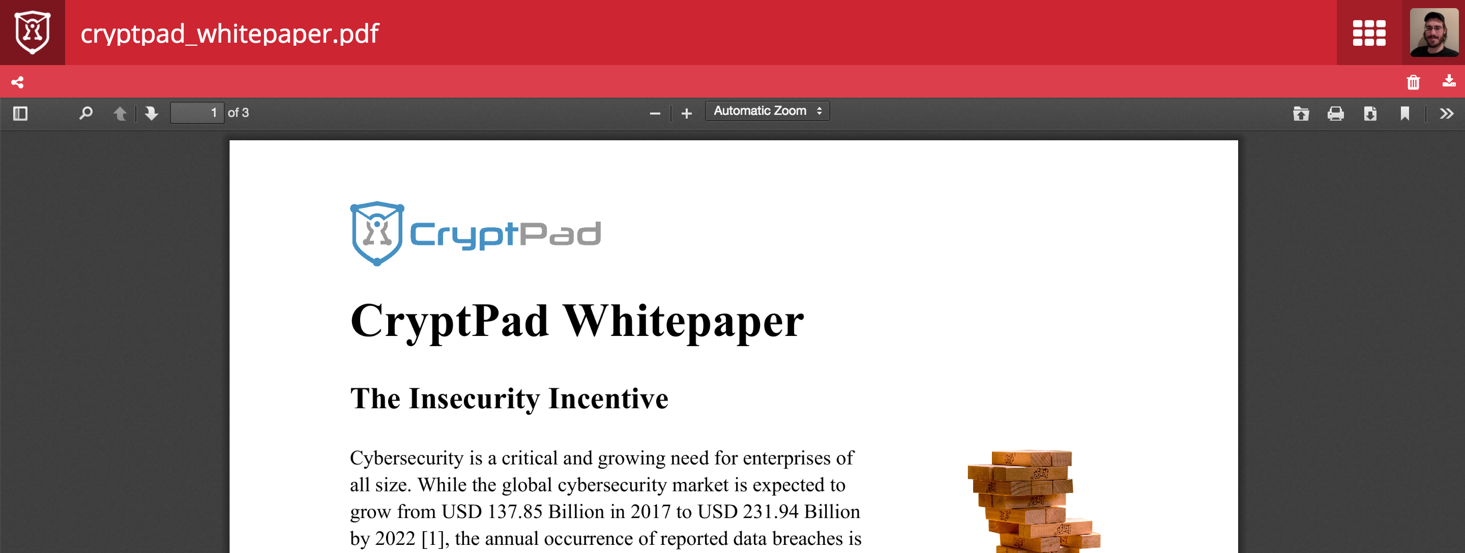 Окно CryptPad PDF Viewer с открытым многостраничным PDF