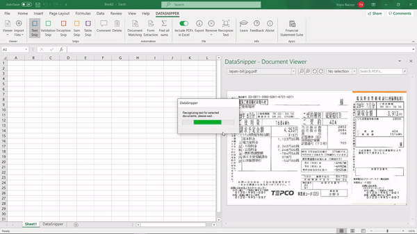 Пример OCR и списка распознанных документов DataSnipper