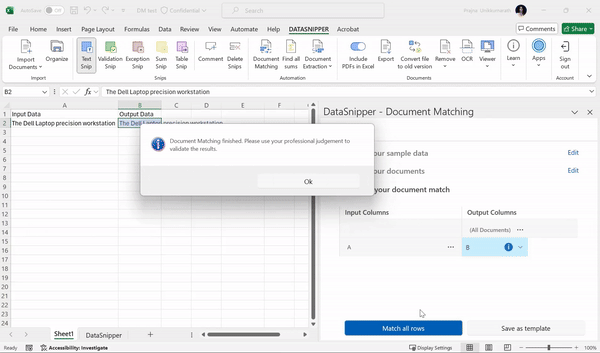 Окно частичного сопоставления Document Matching