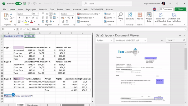 Совместная работа с DataSnipper в одной книге Excel
