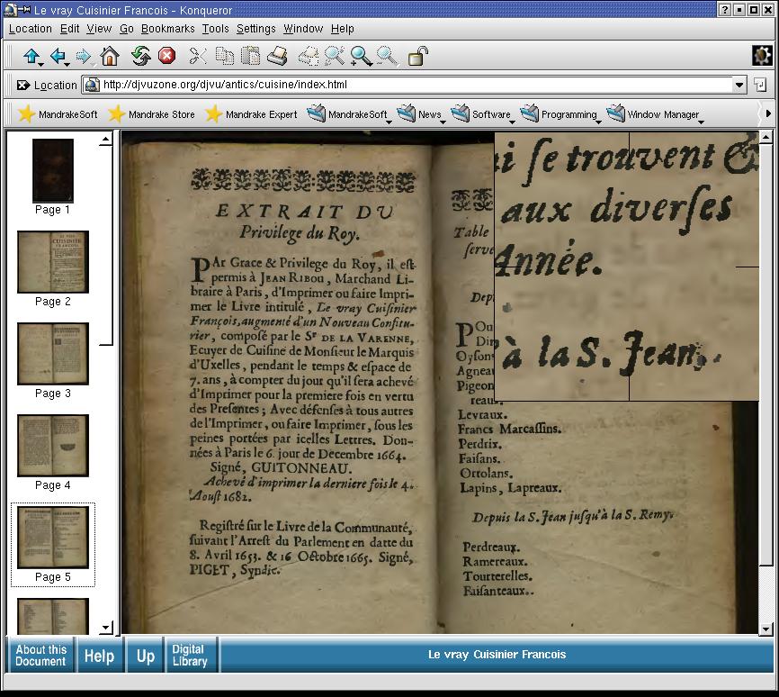 DjView/DjVuLibre viewer с открытой сканированной книгой, миниатюрами страниц и увеличительной лупой