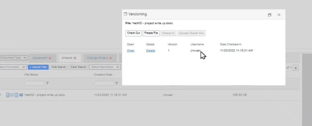 Окно Versioning DocuPhase с командами Check Out и Check In