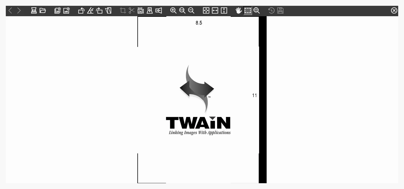 Панель редактора изображения Dynamic Web TWAIN