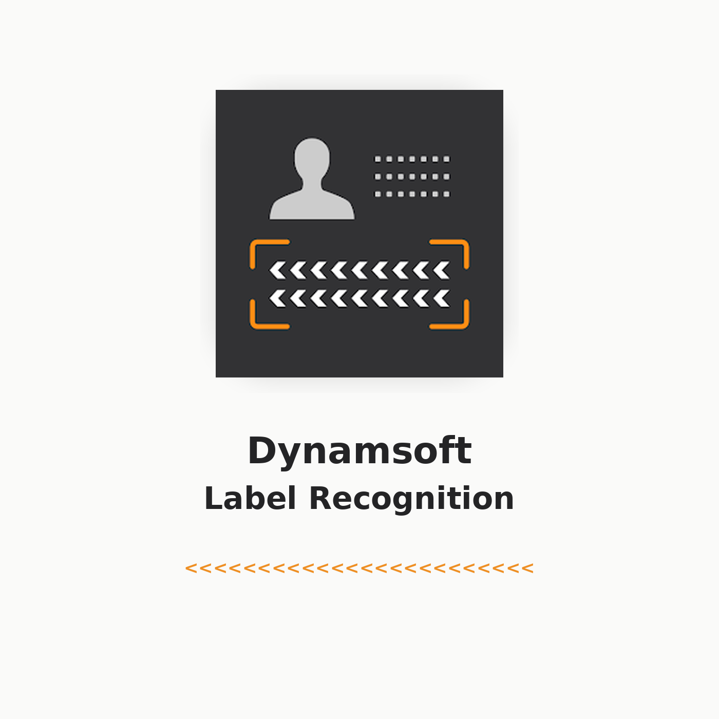 Dynamsoft Label Recognition