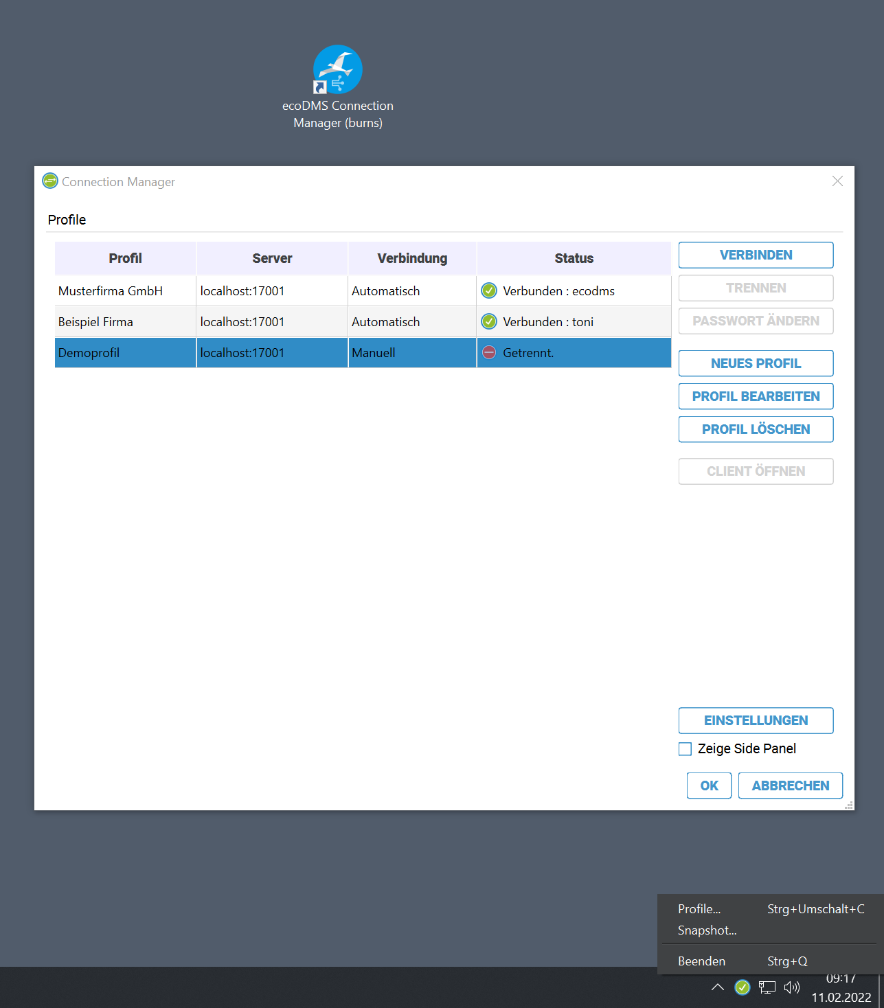 Профиль подключения в EcoDMS Connection Manager