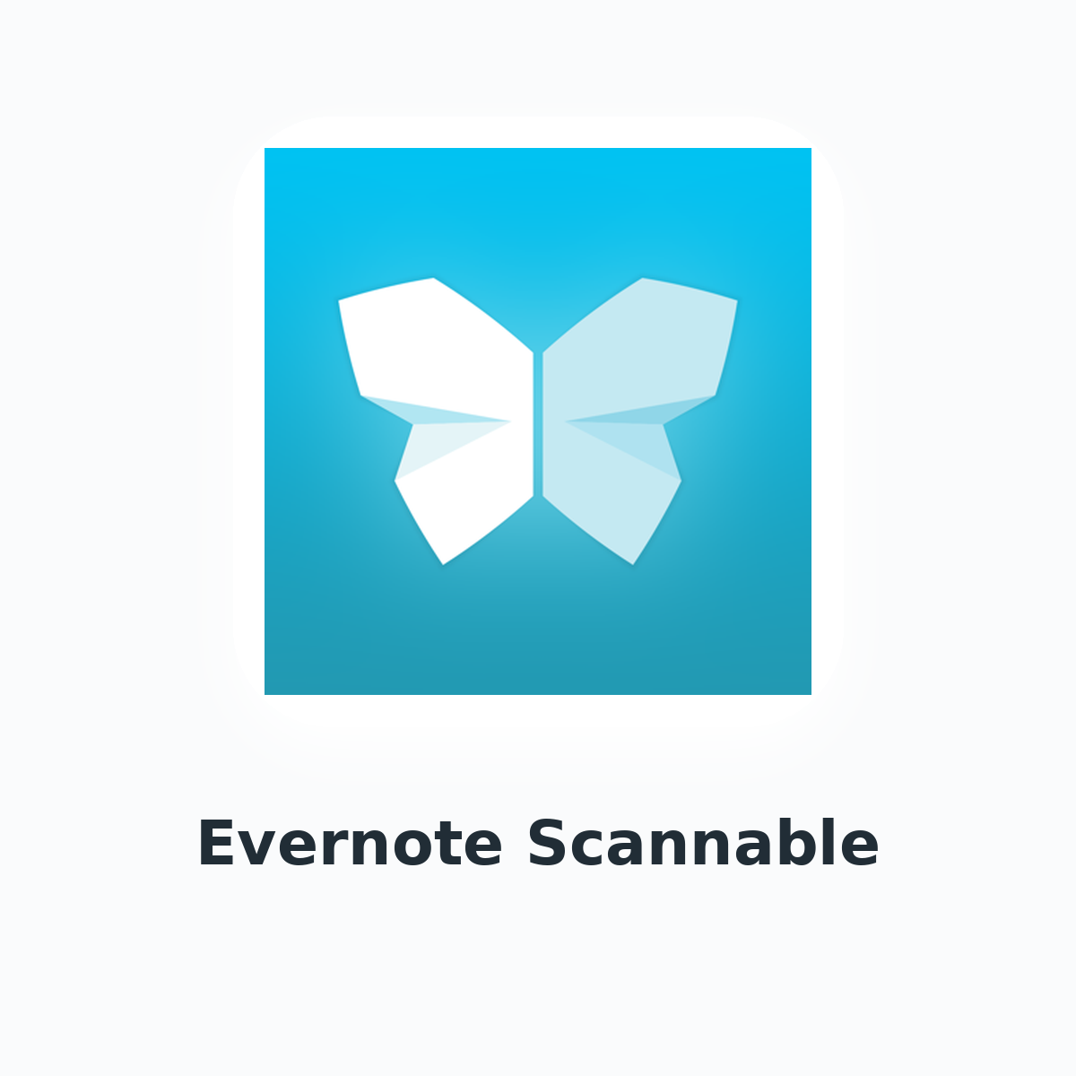 Evernote Scannable