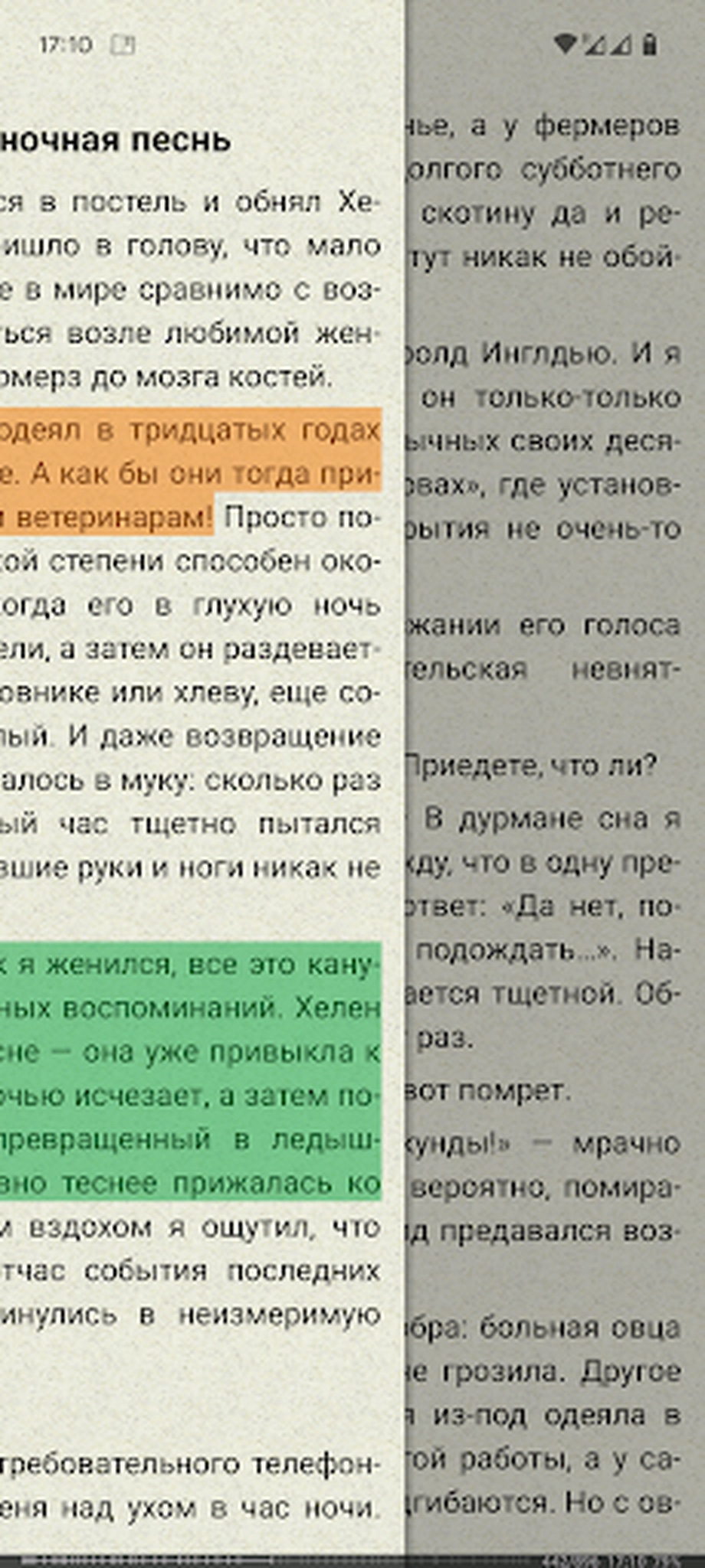 Интерфейс FBReader: Жесты, яркость и случайные команды