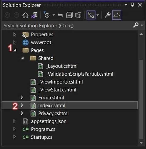 Файлы Foxit PDF SDK в Solution Explorer