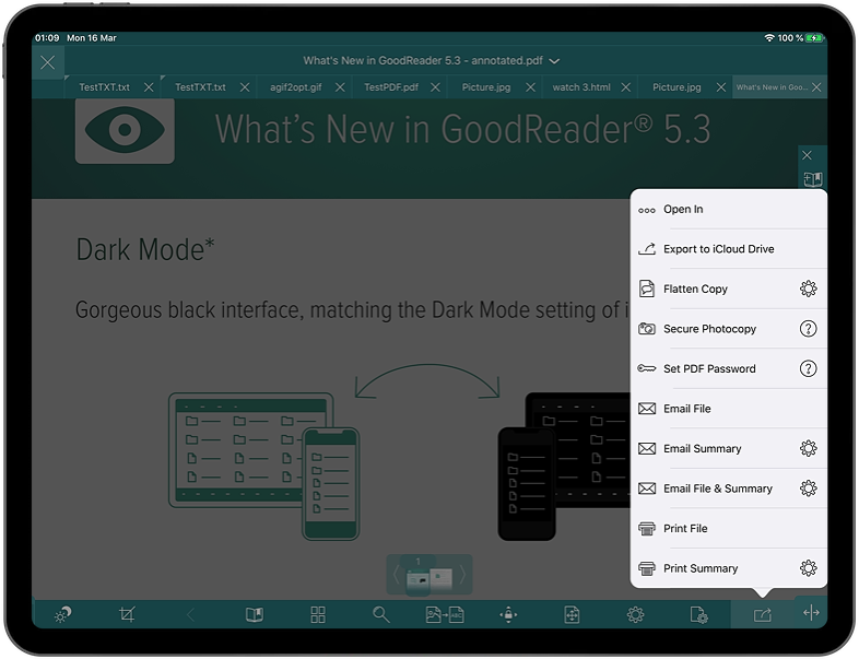 Интерфейс GoodReader