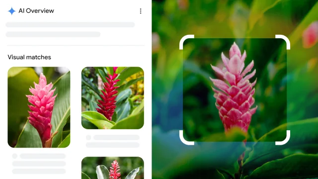 Поиск изображения с помощью Google Lens в Chrome