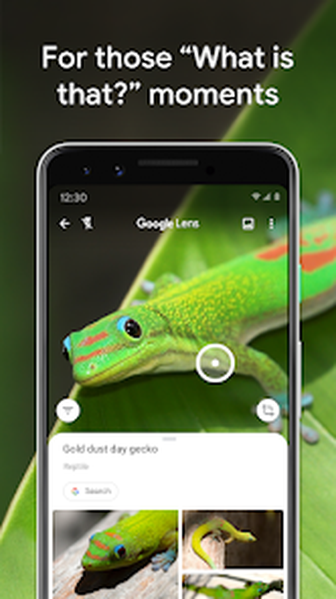 Интерфейс Google Lens: 08 identify animal