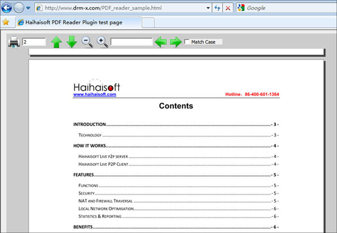 PDF ActiveX control Haihaisoft в окне Internet Explorer