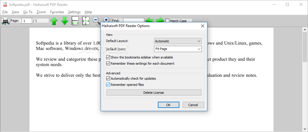 Диалог настроек Haihaisoft PDF Reader Options