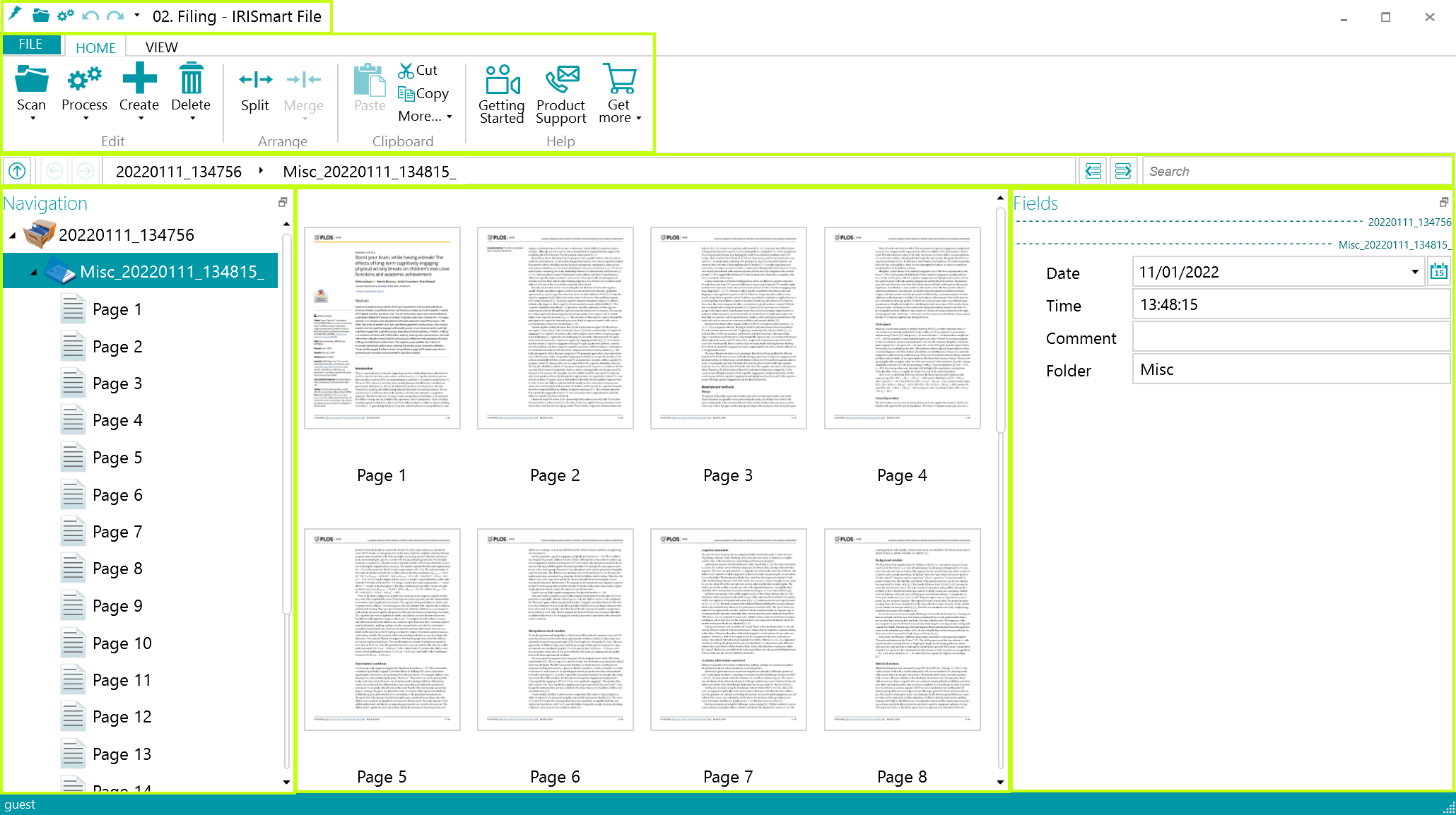 Главное рабочее окно IRISmart File