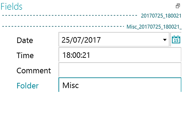 Панель индексных полей IRISmart Invoice