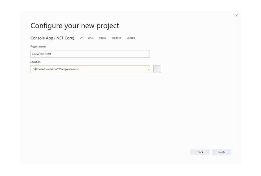 Параметры нового ASP.NET Core проекта для примера IronPDF
