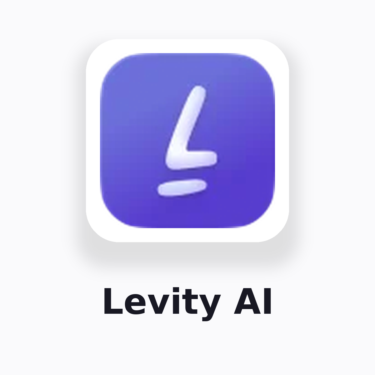 Levity AI