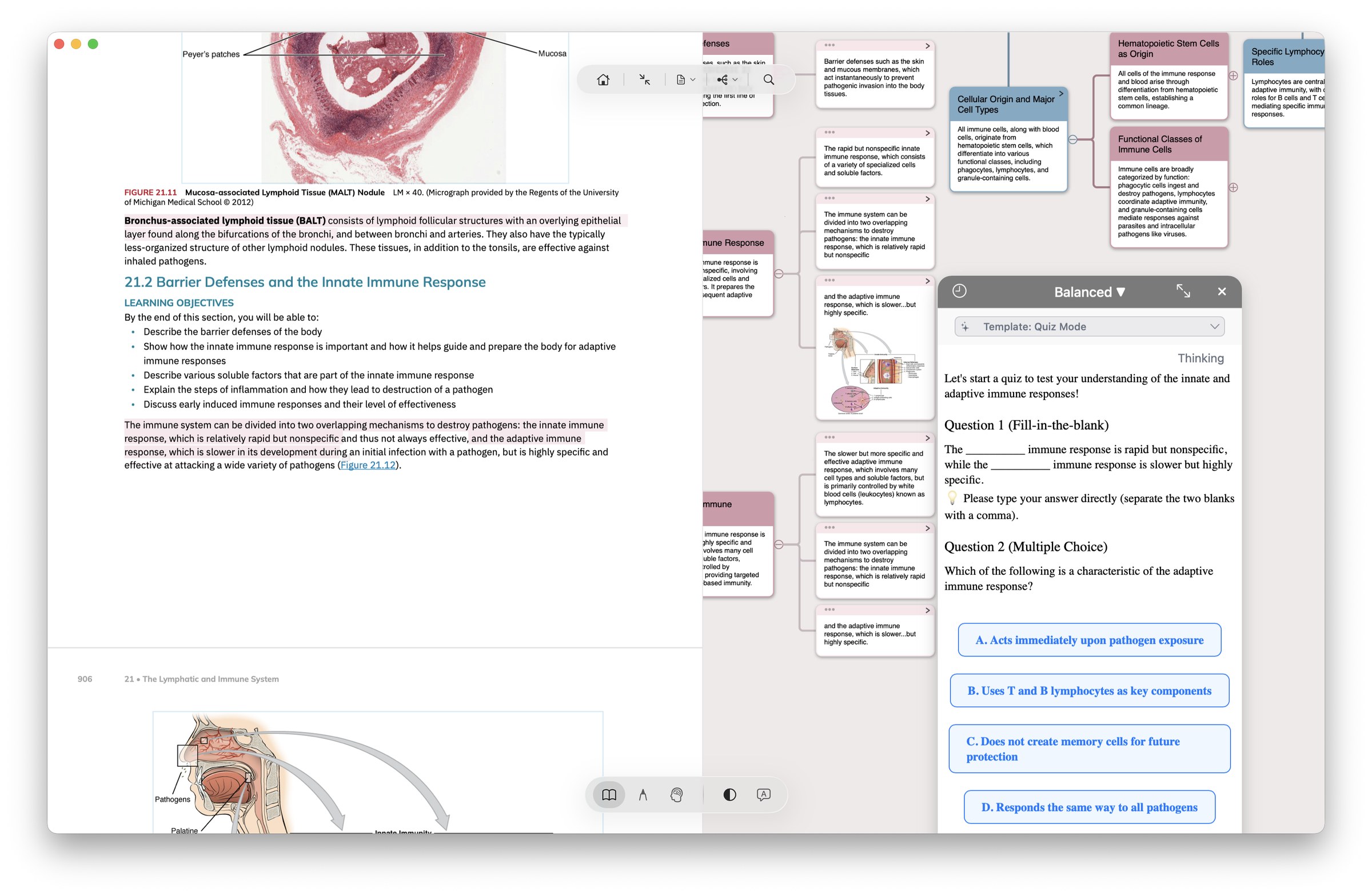 Генерация вопросов по учебному PDF в рабочем окне