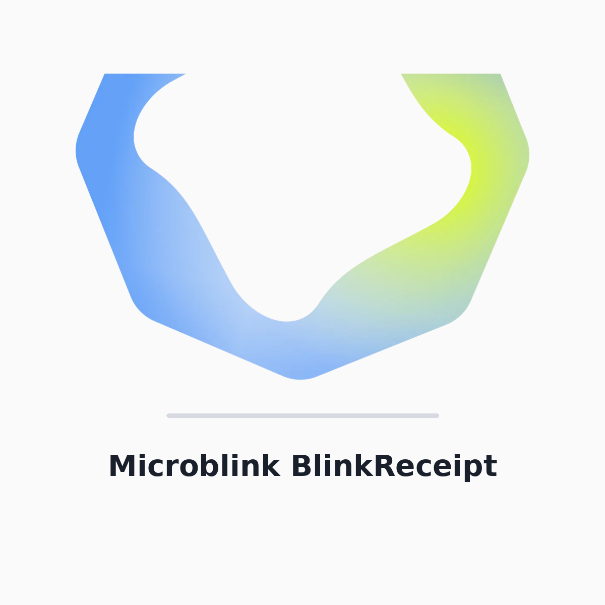Microblink BlinkReceipt