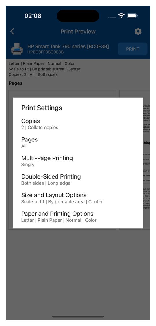 Меню Print Settings с копиями, страницами, многополосной и двусторонней печатью