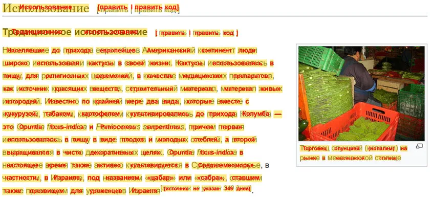 Русский текст с цветной накладкой распознанных слов OCR.space