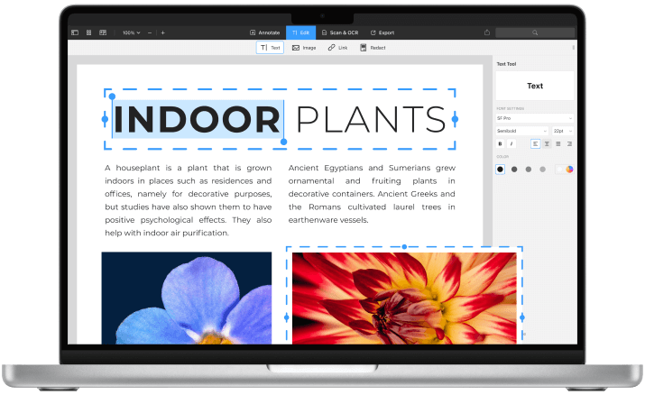 Режим редактирования PDF Expert на Mac с выделенным объектом и панелью свойств