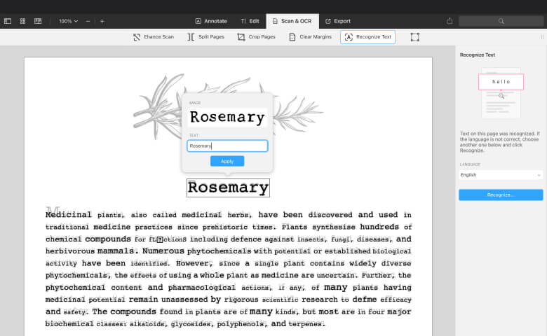 Распознанное слово и исправление результата OCR в PDF Expert