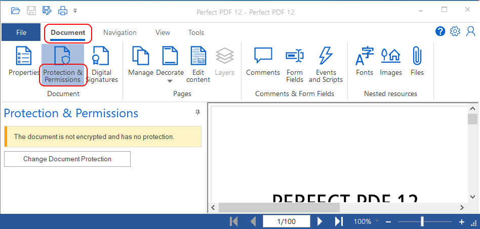 Раздел защиты документа в Perfect PDF