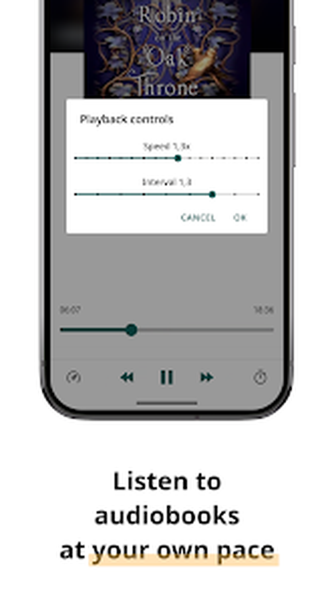 Проигрыватель аудиокниги и настройка скорости PocketBook Reader