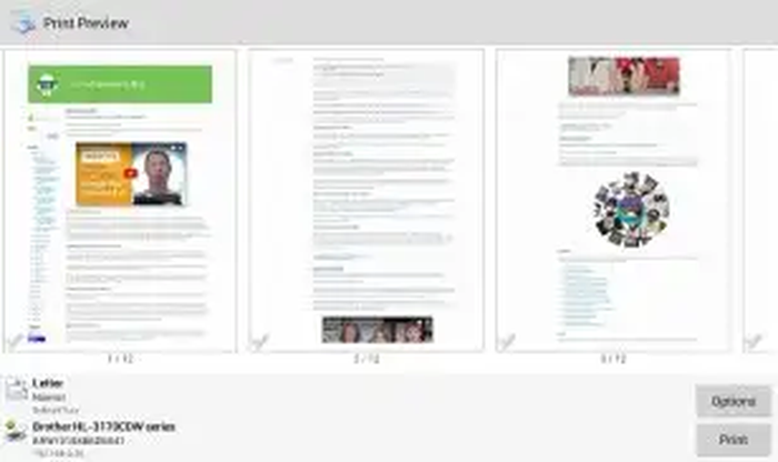 Многостраничный предварительный просмотр веб-страницы в PrinterShare