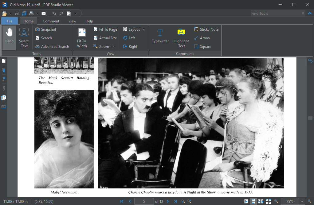Темная тема интерфейса Qoppa PDF Studio Viewer