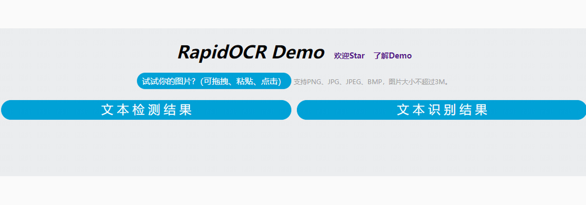Классический интерфейс RapidOCR Web с панелями детекции и распознавания