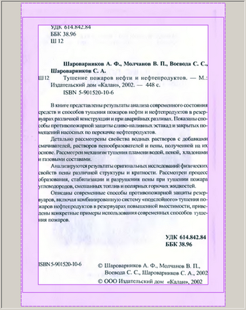 Рабочая область Page Layout с рамками полей