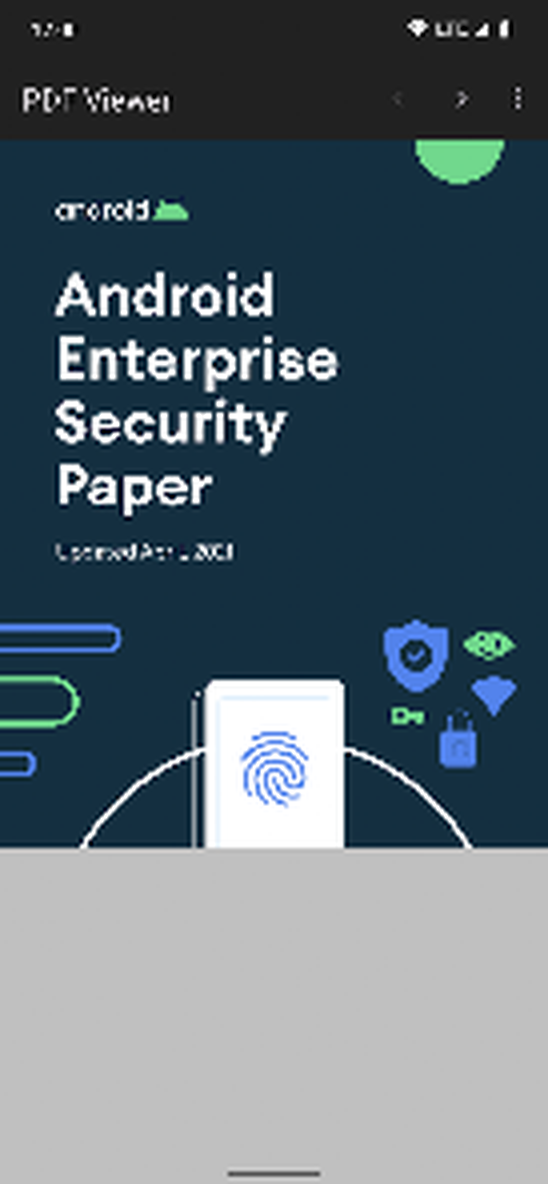 Secure PDF Viewer с открытым PDF и верхней панелью навигации