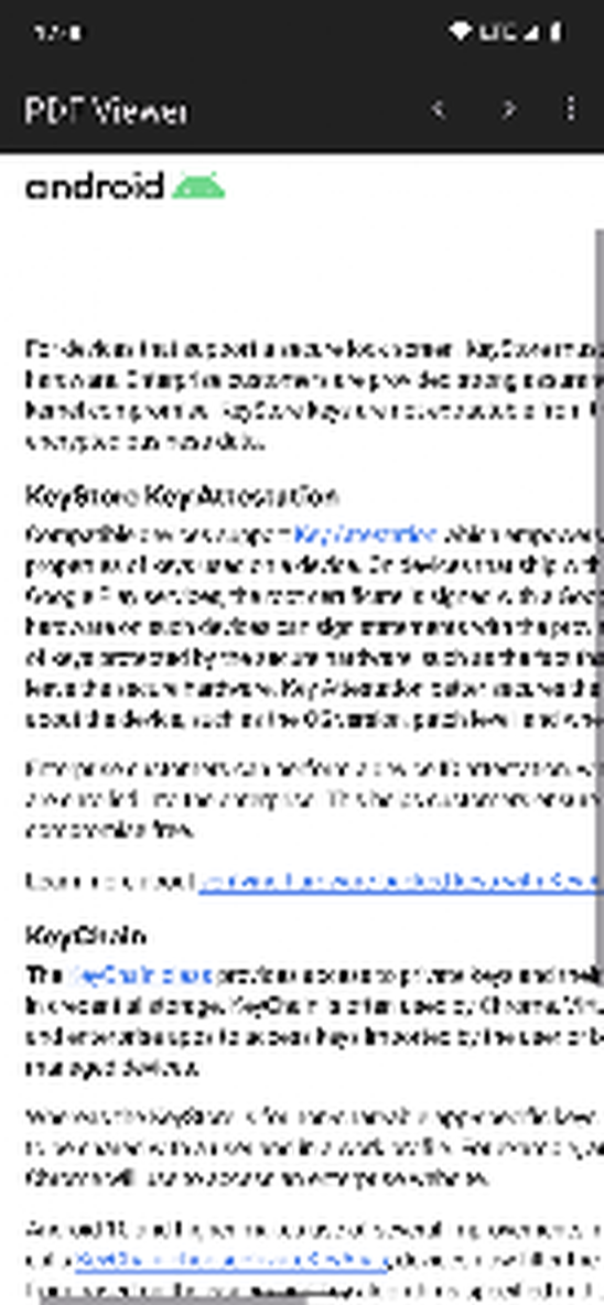Страница PDF в Secure PDF Viewer при увеличенном масштабе