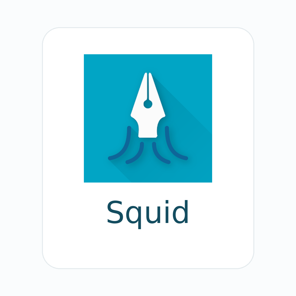 Squid