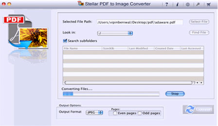 Интерфейс Stellar Converter for PDF